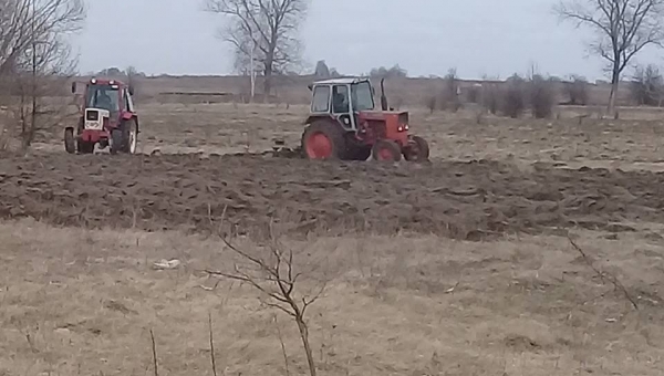 Кому дістануться 5 тисяч гектарів овруцької землі?
