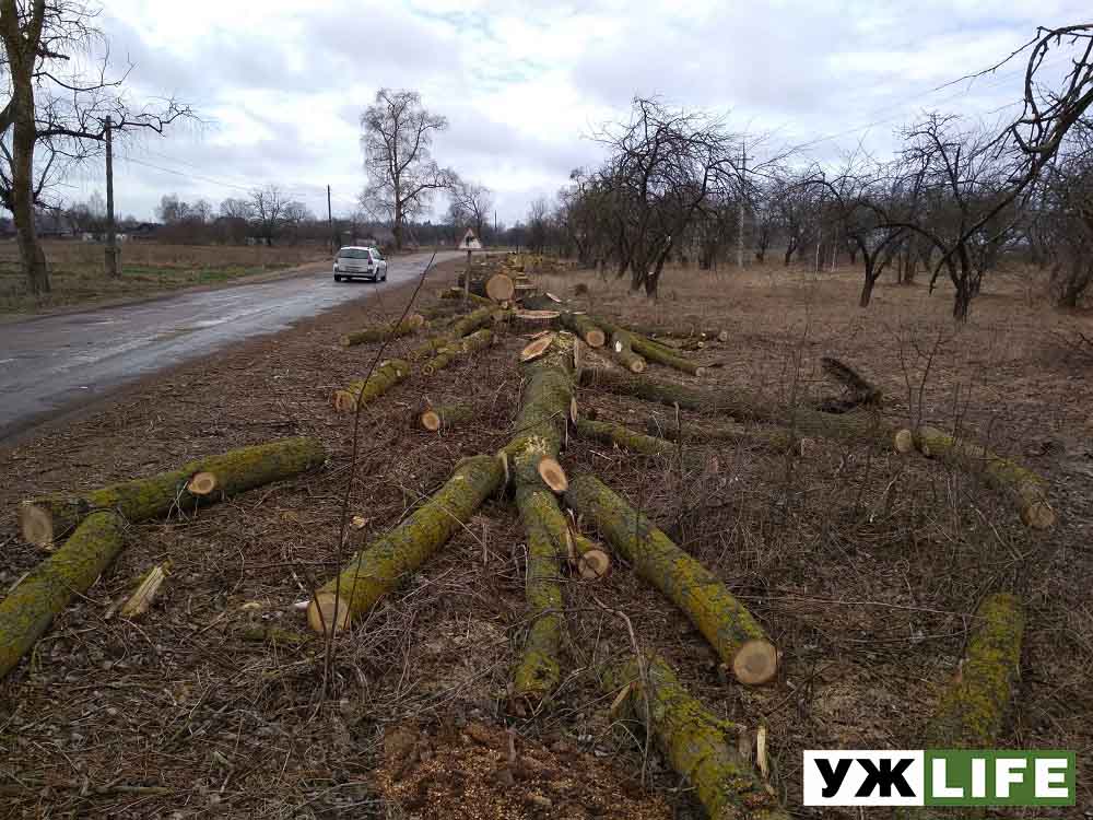 Обкрадене село
