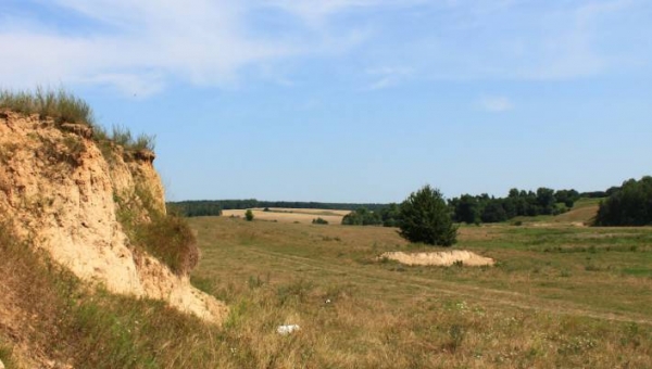 Куди податися «бідним» Левковичам?