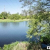 Уж біля Коростеня: чому в річці брудна вода?