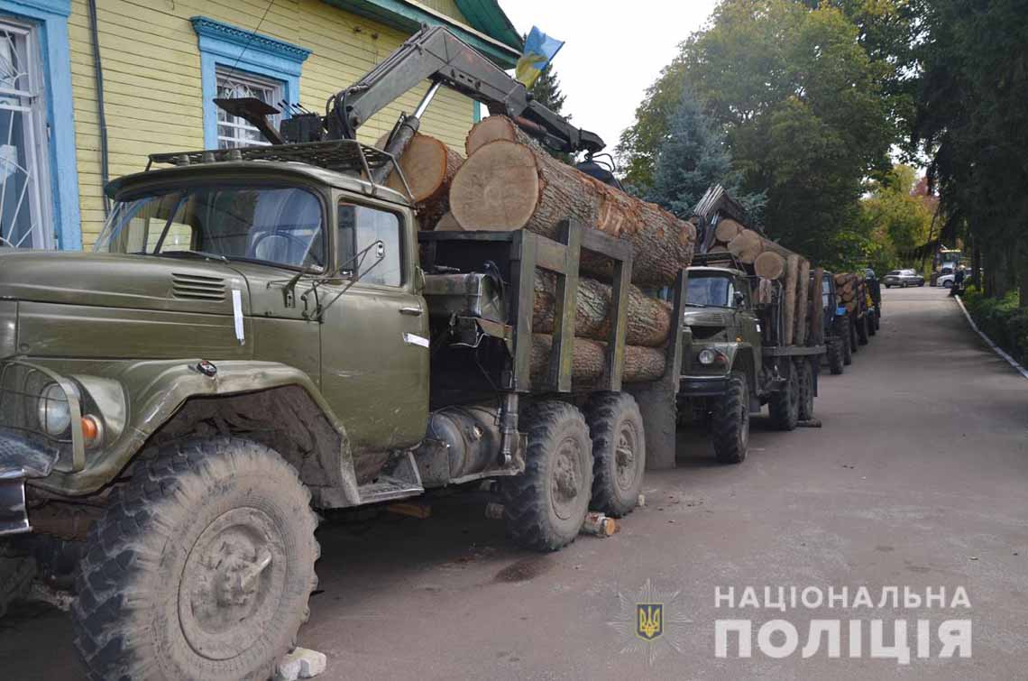 Одразу двох підпільних лісорубів затримали на Овруччині 