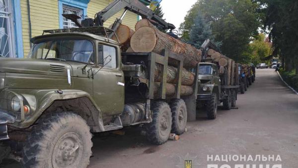 Одразу двох підпільних лісорубів затримали на Овруччині
