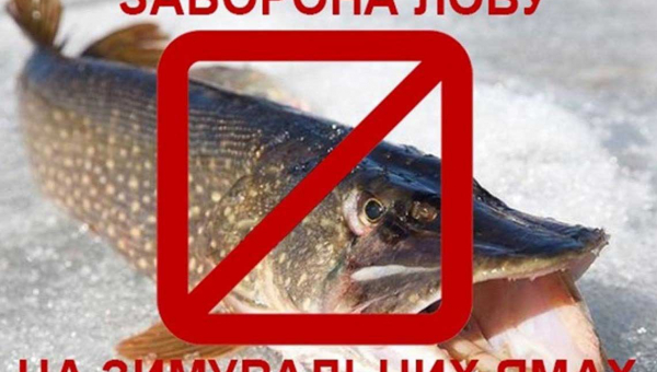 З 1 листопада заборонено ловити рибу на зимувальних ямах, - Житомирська рибоохорона (Інтерактивна карта)