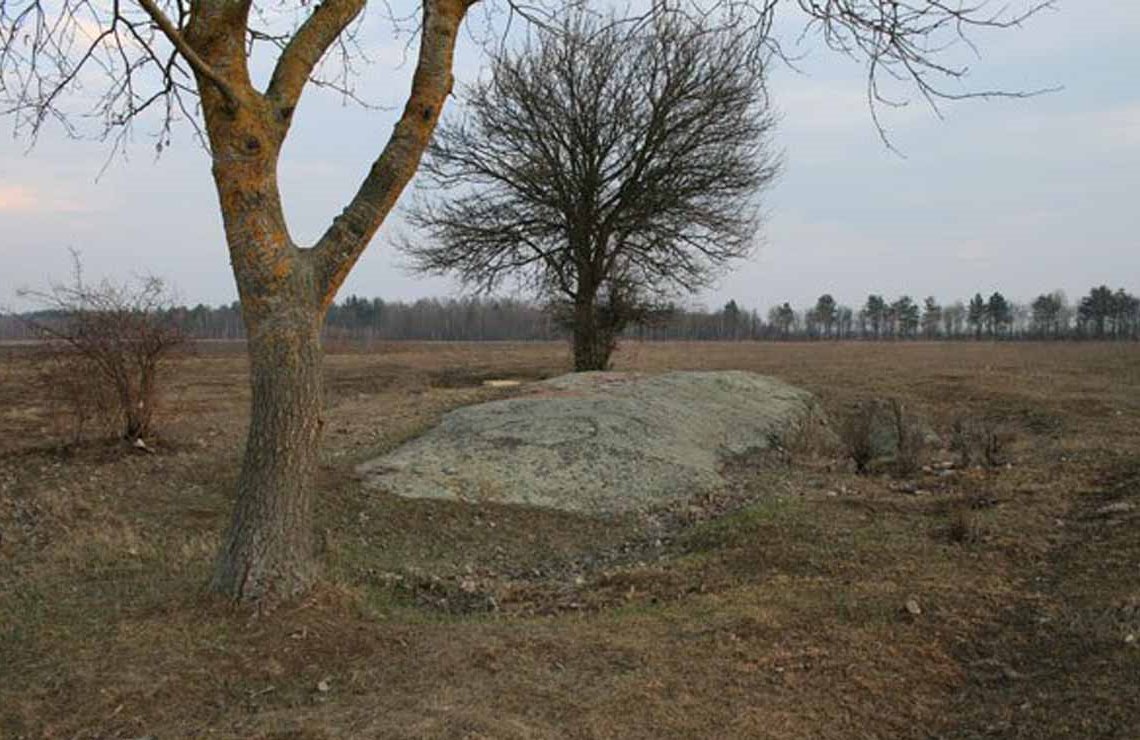 «Гніздо блискавок» під Коростенем