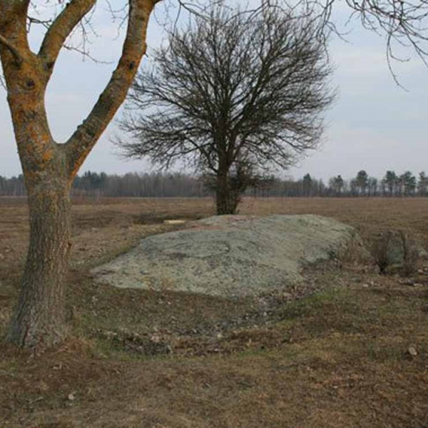 «Гніздо блискавок» під Коростенем