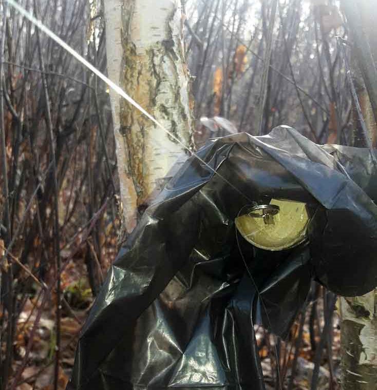 На Малинщині поліцейські перевіряли повідомлення про виявлення вибухового пристрою ?ФОТО