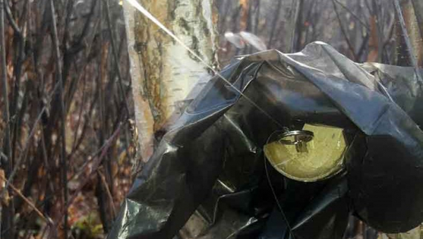 На Малинщині поліцейські перевіряли повідомлення про виявлення вибухового пристрою ?ФОТО