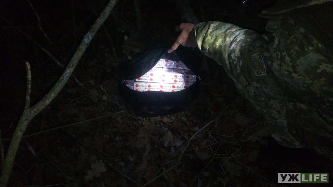 kontrabos sigi ovruch 2
