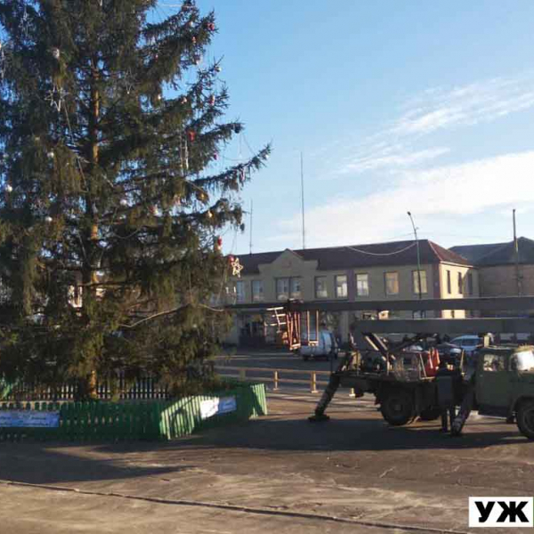 У Малині вандали атакували новорічну ялинку