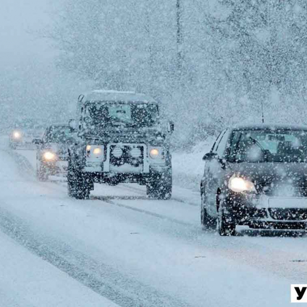  Житомирщину засипає рясним снігом: за дві години випало до п’яти сантиметрів ?ВІДЕО