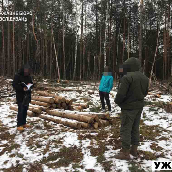 Україна втратила 6 мільйонів через незаконну вирубку на Житомирщині ?ФОТОрепортаж