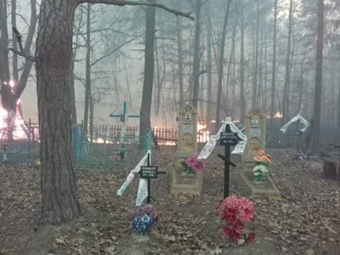 pozh ovtych foto 7