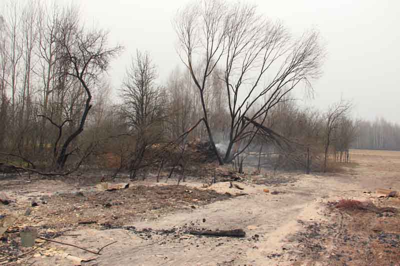 macshtebna zhit olvsk 4
