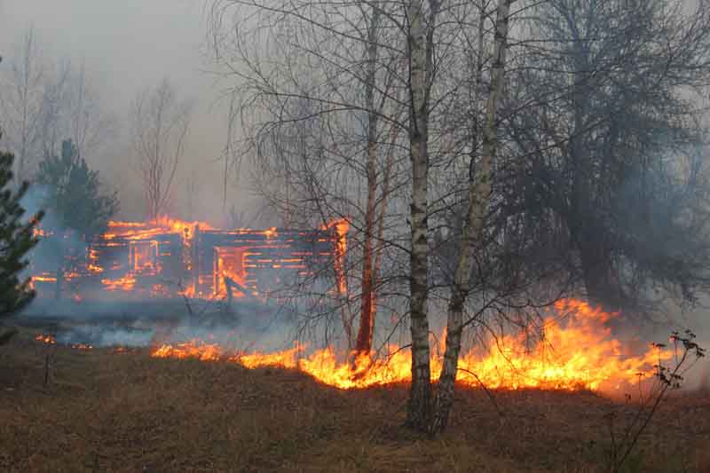 macshtebna zhit olvsk 6