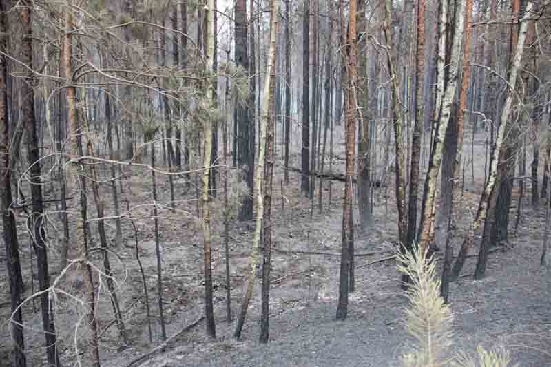 macshtebna zhit olvsk 9