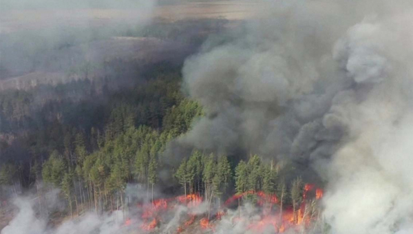 У полоні вогню