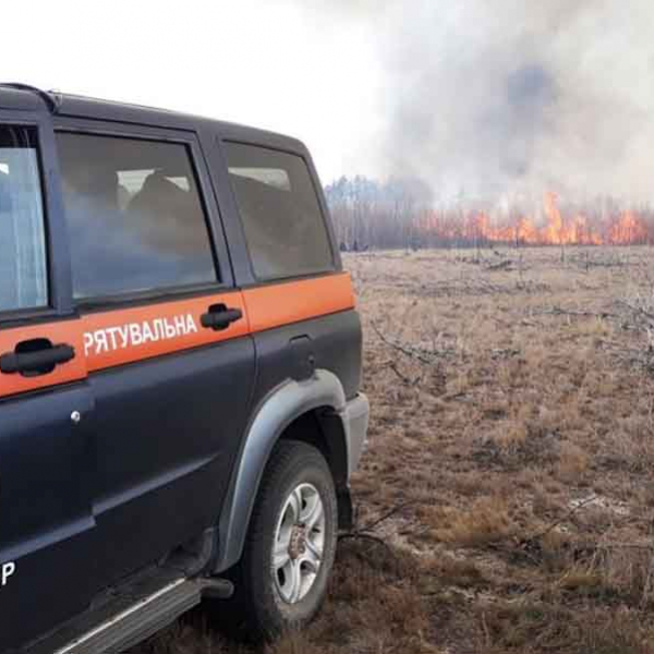 На Житомирщині спалахнула нова лісова пожежа