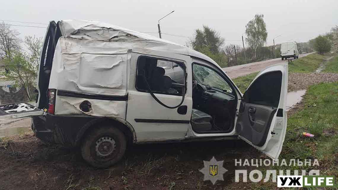 В'їхав у дерево та паркан: у Коростені в ДТП травмувалися двоє людей