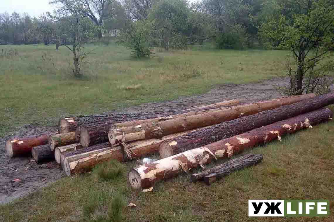 Лісова охорона Олевського лісгоспу наздогнала лісопорушників аж у сусідній Рівненщині