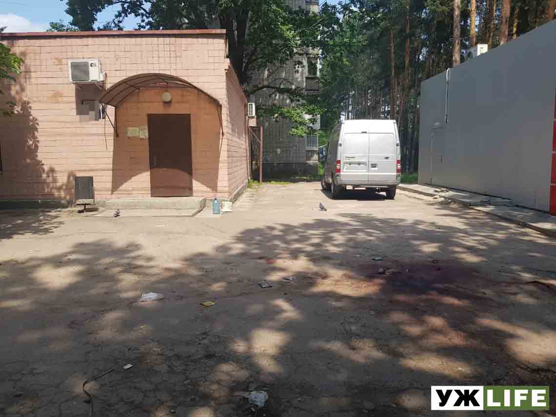 irshansk kafe rozsh 1