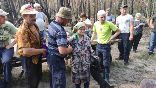 На Житомирщині знайшли 83-річну пенсіонерку, яка дві доби блукала у лісі (ФОТО)