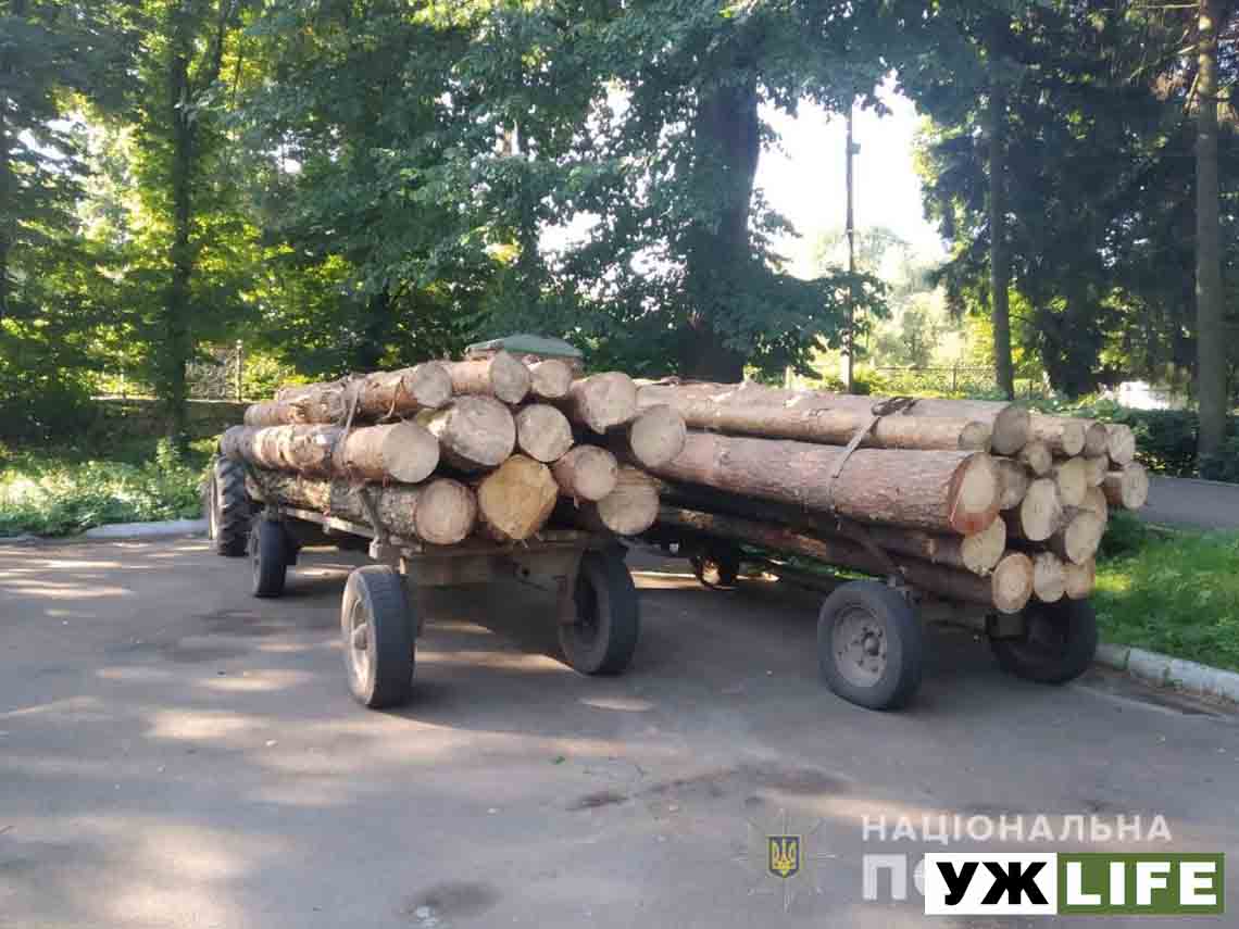 В Олевському районі продовжуть красти ліс – поліція зупинила трактори з сосною