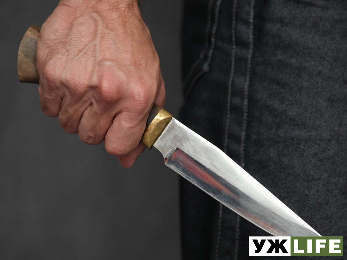 Наніс собаці чотири удари кухонним ножем, бо той з’їв продукти: у Малині суд виніс вирок чоловікові, який зарізав пса