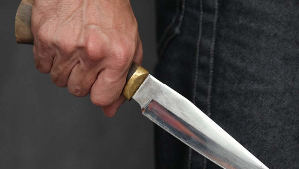 Наніс собаці чотири удари кухонним ножем, бо той з’їв продукти: у Малині суд виніс вирок чоловікові, який зарізав пса