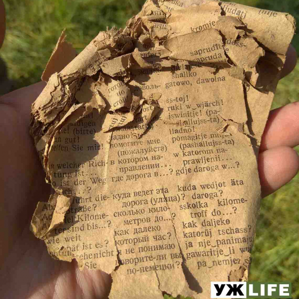 У Житомирській області пошуківці розкопали останки солдата Вермахту, а з ним німецько-російський розмовник, каблучку та особисті речі (ФОТОрепортаж)