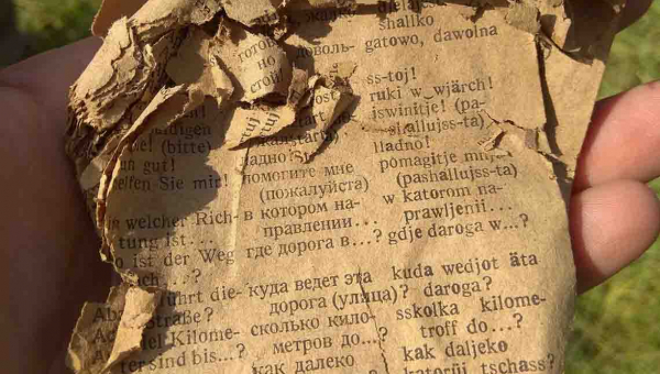 У Житомирській області пошуківці розкопали останки солдата Вермахту, а з ним німецько-російський розмовник, каблучку та особисті речі (ФОТОрепортаж)