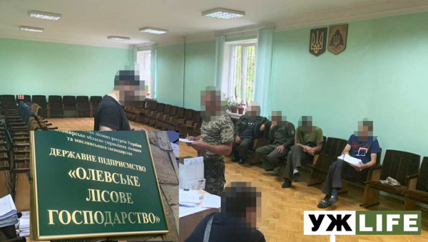 2,5 млн грн збитків – на незаконній вирубці лісу на Житомирщині викрили держслужбовців та підприємців (ФОТО)