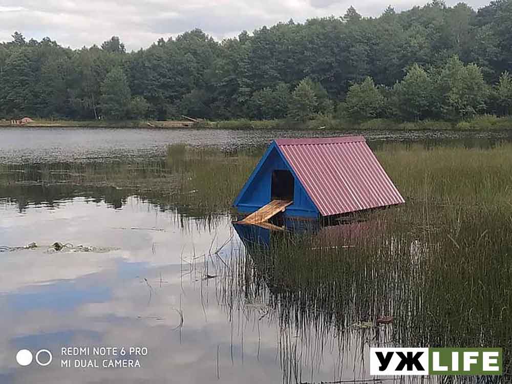 На Овруччині для лебедів змайстрували будиночок-годівничку ?ФОТОрепортаж
