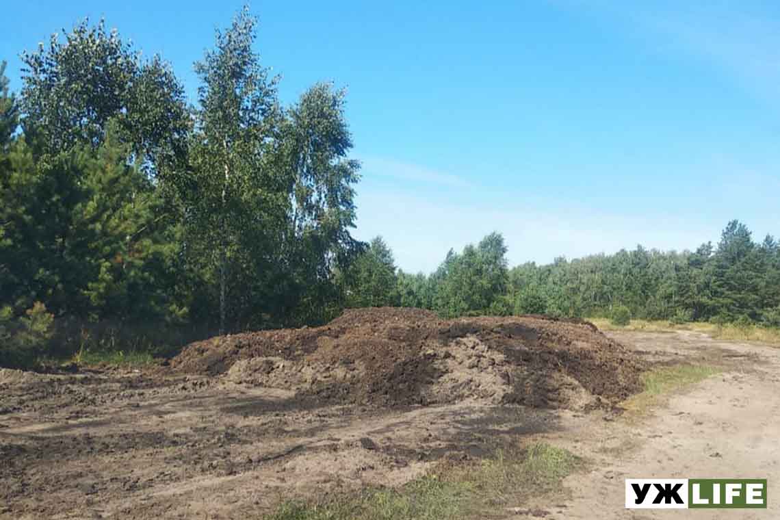 У мерії назвали причини смороду в Олевську