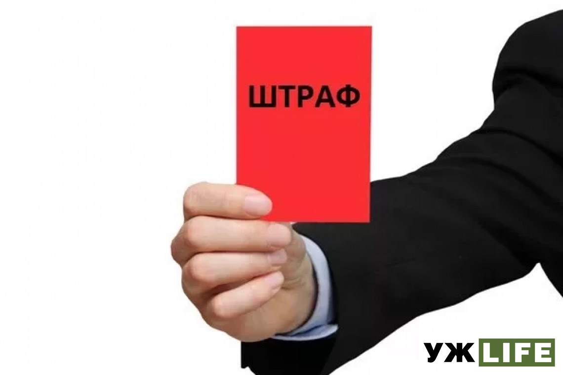 На Овруччині оштрафували 9 депутатів сільради, які вчасно не подали декларації