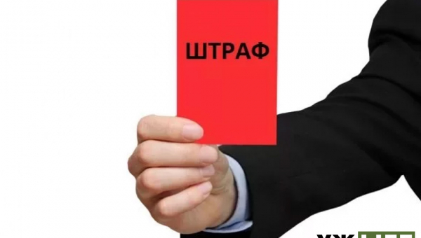 На Овруччині оштрафували 9 депутатів сільради, які вчасно не подали декларації