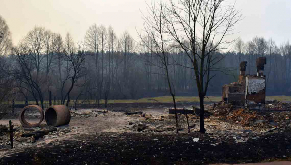 Постраждалим від пожеж на Житомирщині виплатять по 300 тисяч грн – голова ОДА
