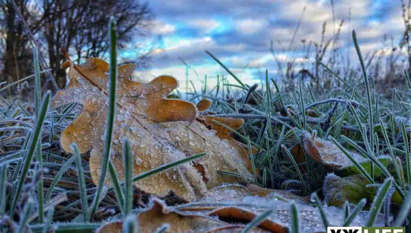 На Житомирщину суне арктичний циклон, синоптики повідомили про сильне похолодання