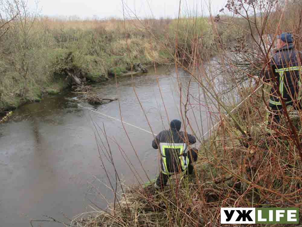 У водоймі в Овруцькому районі знайшли тіло бабусі, яка кілька днів тому пішла по гриби