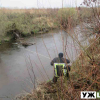 У водоймі в Овруцькому районі знайшли тіло бабусі, яка кілька днів тому пішла по гриби