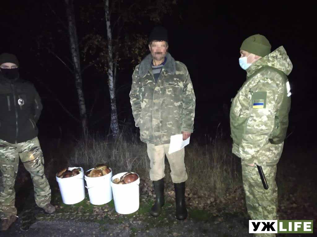 В Чорнобильській зоні затримано поціновувачів радіоактивних грибів