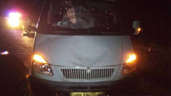 Поблизу села в Овруцькому районі ГАЗ на смерть збив 62-річного чоловіка