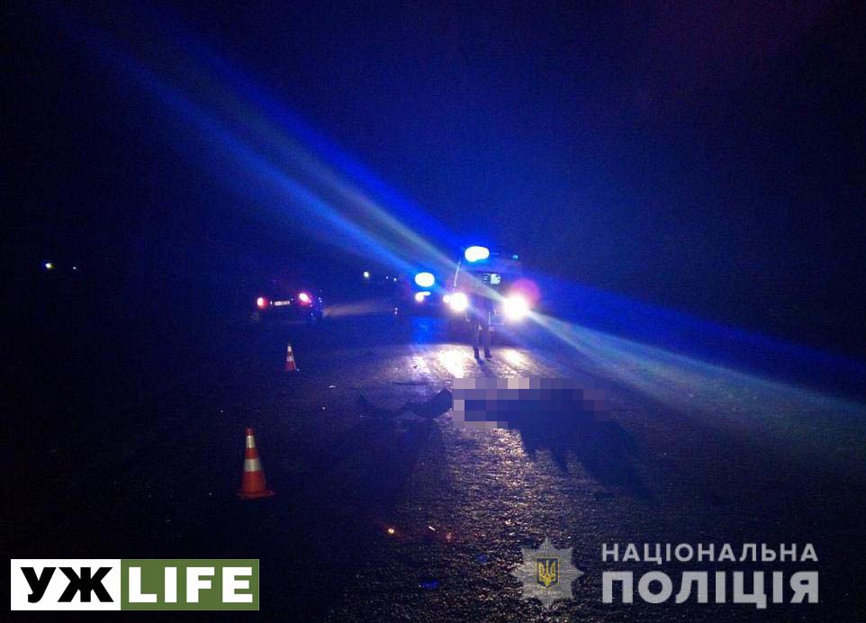 У Лугинському районі ВАЗ наїхав на чоловіка, від отриманих травм потерпілий помер на місці