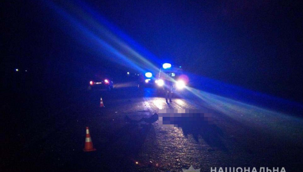 У Лугинському районі ВАЗ наїхав на чоловіка, від отриманих травм потерпілий помер на місці