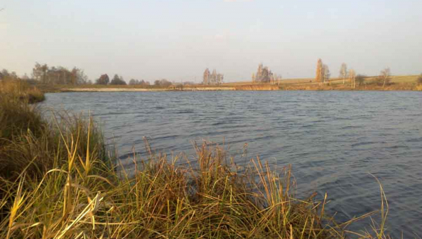 У Лугинському районі люди витягнули зі ставка тіло односельця