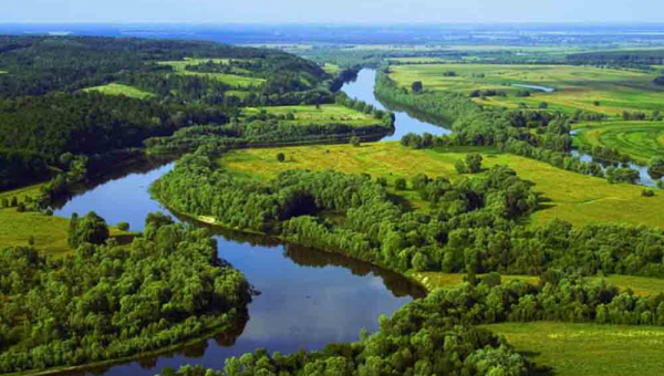 На Житомирщині в заповіднику планують видобувати руду – резервуар води під загрозою