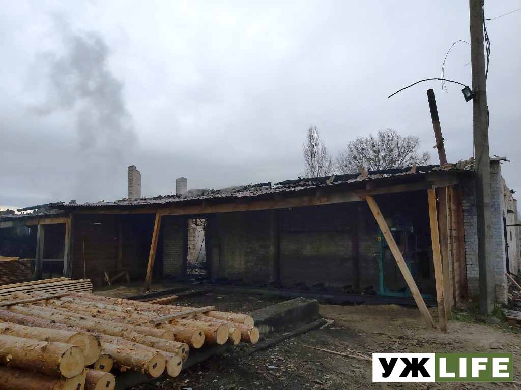 derevo obr pozhehza 2