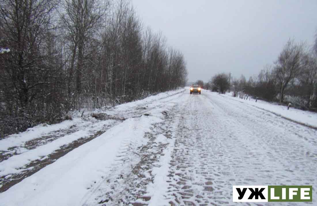 olevsk smert dtp 1