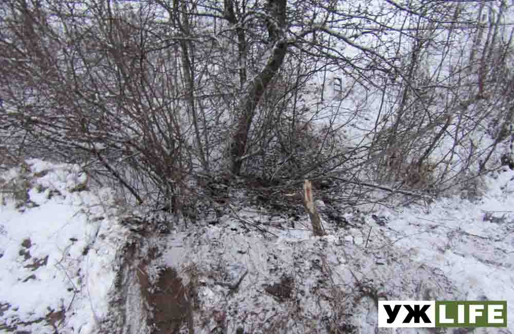 olevsk smert dtp 2