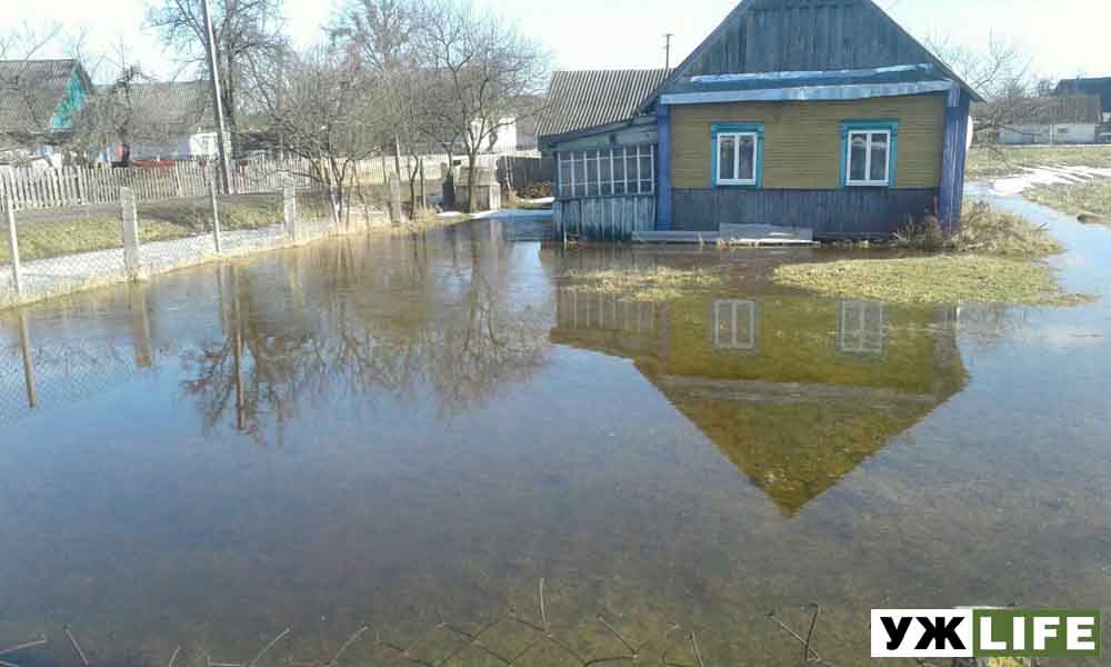 olevsk shkola 04 2