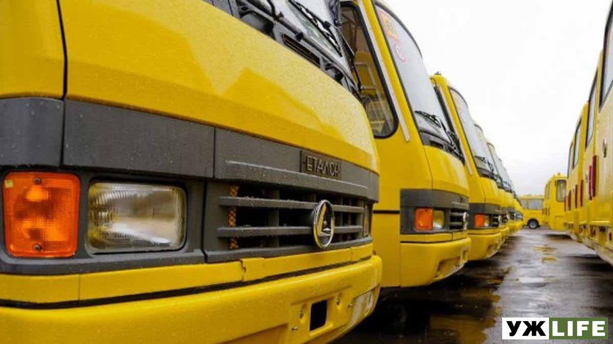 В Житомирській області відзавтра не їздитиме громадський транспорт